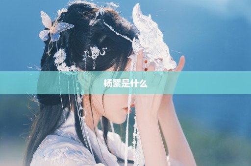 杨絮是什么