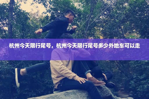 杭州今天限行尾号，杭州今天限行尾号多少外地车可以走 