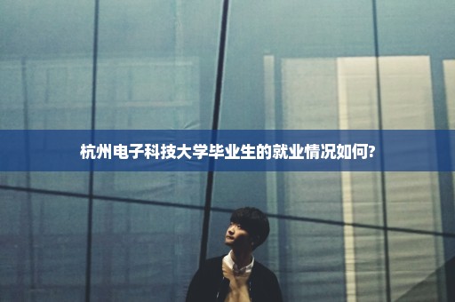 杭州电子科技大学毕业生的就业情况如何?