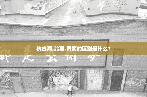 杭白菊,胎菊,贡菊的区别是什么？