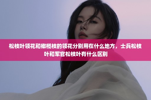 松枝叶领花和橄榄枝的领花分别用在什么地方，士兵松枝叶和军官松枝叶有什么区别