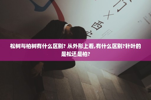 松树与柏树有什么区别? 从外形上看,有什么区别?针叶的是松还是柏?
