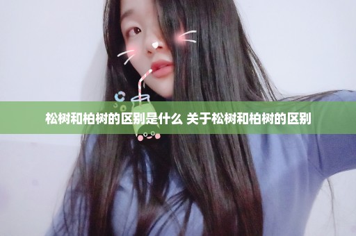 松树和柏树的区别是什么 关于松树和柏树的区别