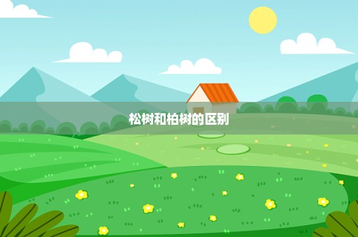 松树和柏树的区别