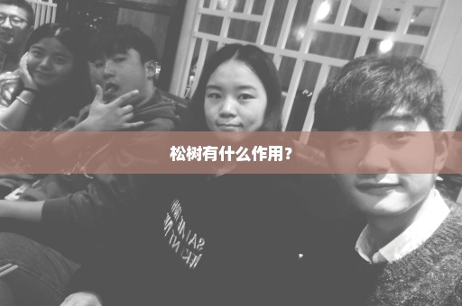 松树有什么作用？