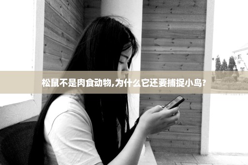 松鼠不是肉食动物,为什么它还要捕捉小鸟?