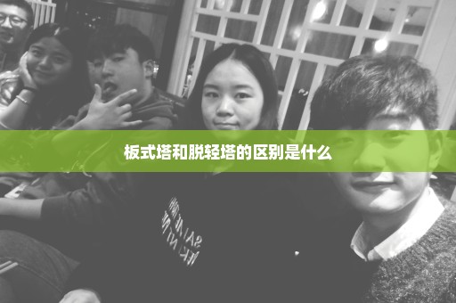板式塔和脱轻塔的区别是什么