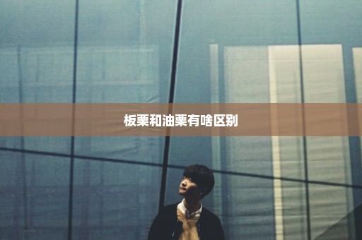 板栗和油栗有啥区别