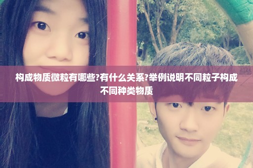 构成物质微粒有哪些?有什么关系?举例说明不同粒子构成不同种类物质