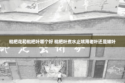 枇杷花和枇杷叶哪个好 枇杷叶煮水止咳用老叶还是嫩叶