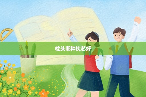 枕头哪种枕芯好