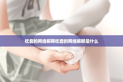 枕套的网络解释枕套的网络解释是什么