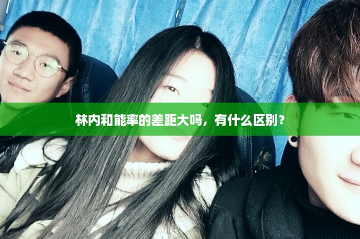 林内和能率的差距大吗，有什么区别？
