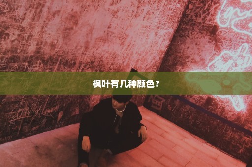 枫叶有几种颜色？
