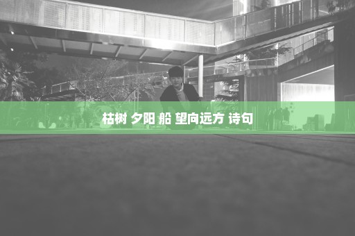 枯树 夕阳 船 望向远方 诗句