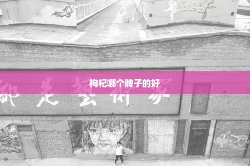 枸杞哪个牌子的好