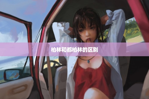 柏林和都柏林的区别