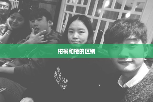 柑橘和橙的区别