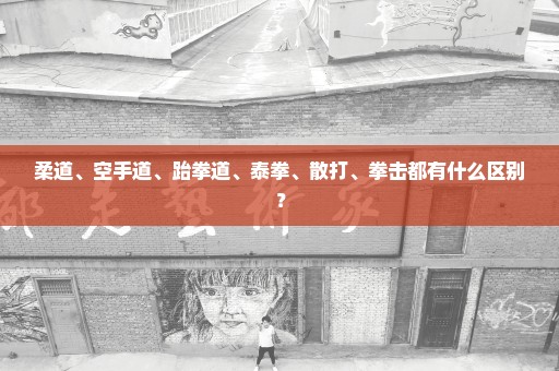 柔道、空手道、跆拳道、泰拳、散打、拳击都有什么区别？