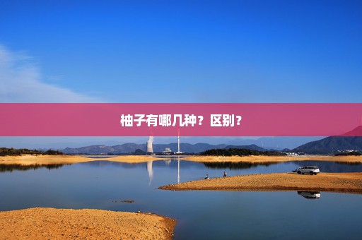 柚子有哪几种？区别？