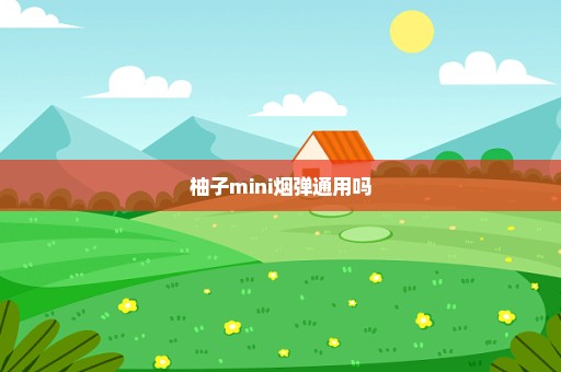 柚子mini烟弹通用吗