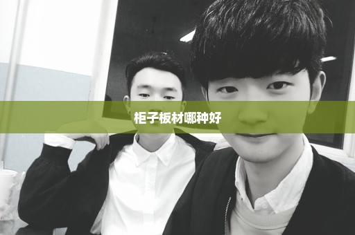 柜子板材哪种好