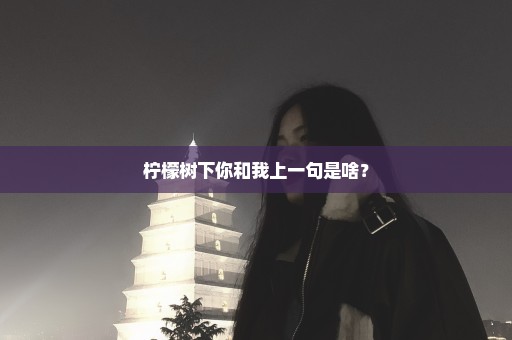 柠檬树下你和我上一句是啥？