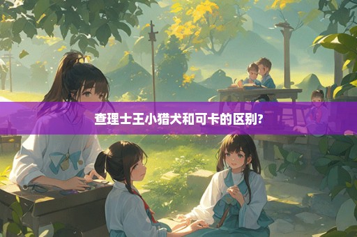 查理士王小猎犬和可卡的区别?