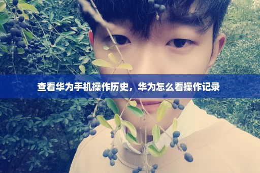 查看华为手机操作历史，华为怎么看操作记录 