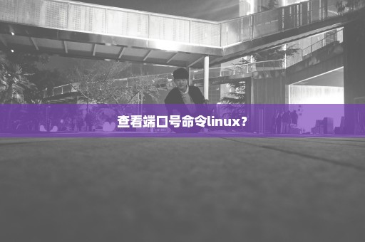 查看端口号命令linux？