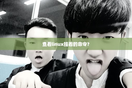 查看linux挂着的命令？