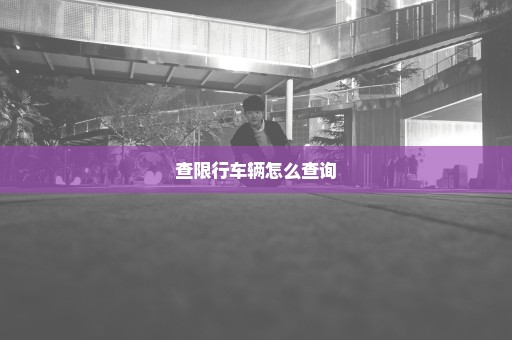 查限行车辆怎么查询