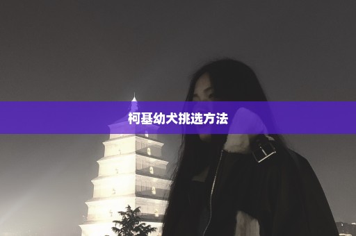 柯基幼犬挑选方法