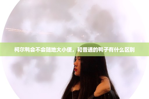 柯尔鸭会不会随地大小便，和普通的鸭子有什么区别