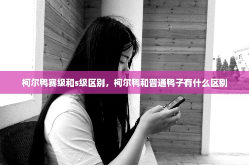 柯尔鸭赛级和s级区别，柯尔鸭和普通鸭子有什么区别