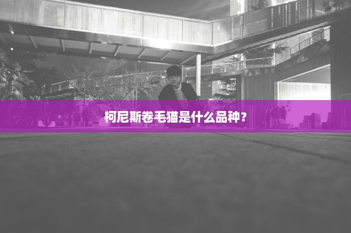 柯尼斯卷毛猫是什么品种？