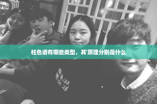 柱色谱有哪些类型，其'原理分别是什么