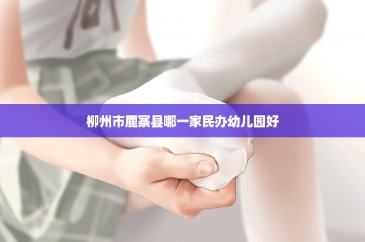 柳州市鹿寨县哪一家民办幼儿园好