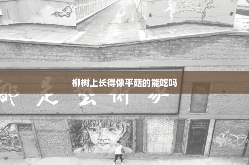 柳树上长得像平菇的能吃吗