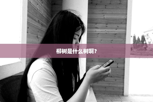 柳树是什么树啊？