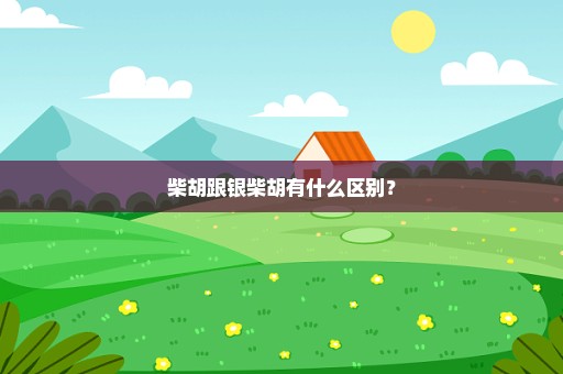 柴胡跟银柴胡有什么区别？