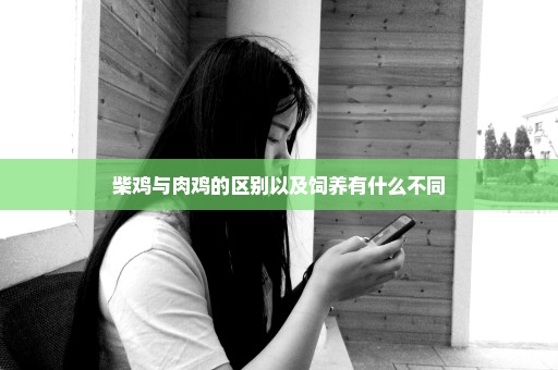 柴鸡与肉鸡的区别以及饲养有什么不同