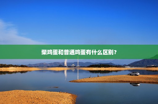 柴鸡蛋和普通鸡蛋有什么区别？