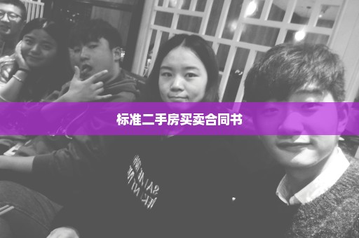 标准二手房买卖合同书