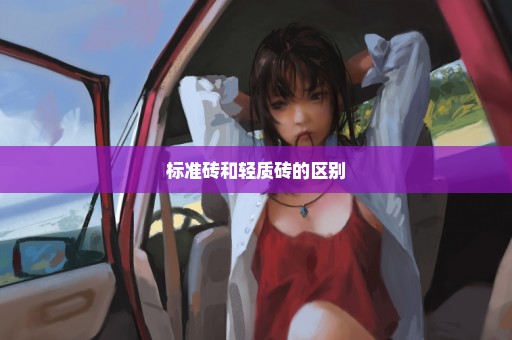 标准砖和轻质砖的区别