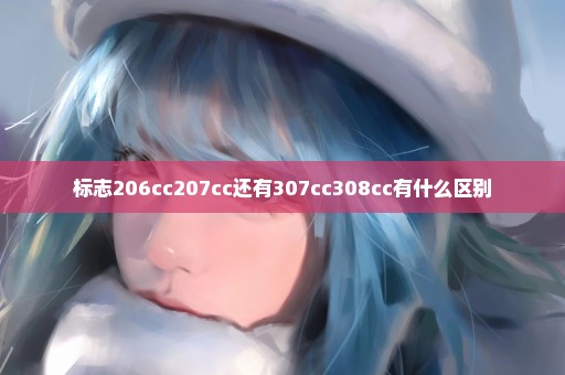 标志206cc207cc还有307cc308cc有什么区别