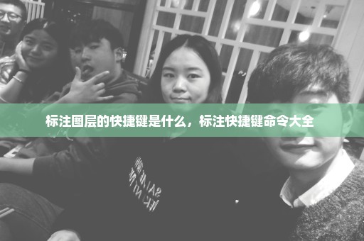 标注图层的快捷键是什么，标注快捷键命令大全 