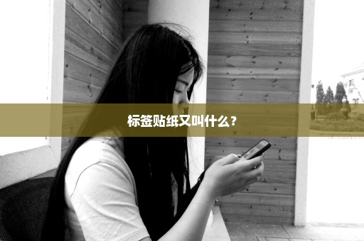 标签贴纸又叫什么？
