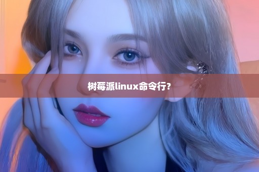 树莓派linux命令行？