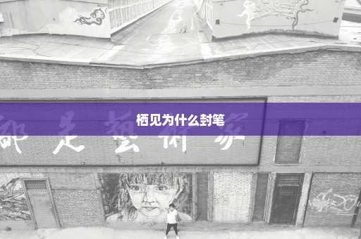 栖见为什么封笔